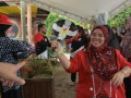 Tn DSC 7784